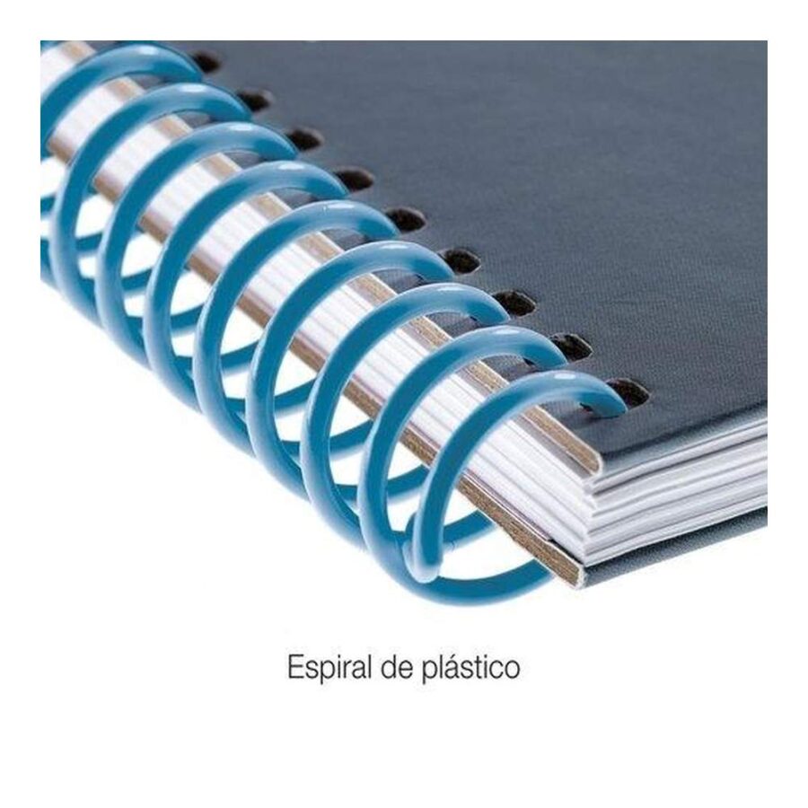Agenda Escolar 24-25 Ocean
