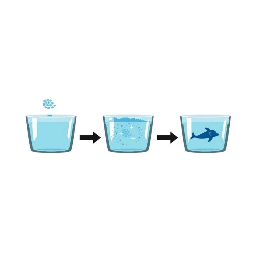 Animales Marinos Sorpresa Efervescente