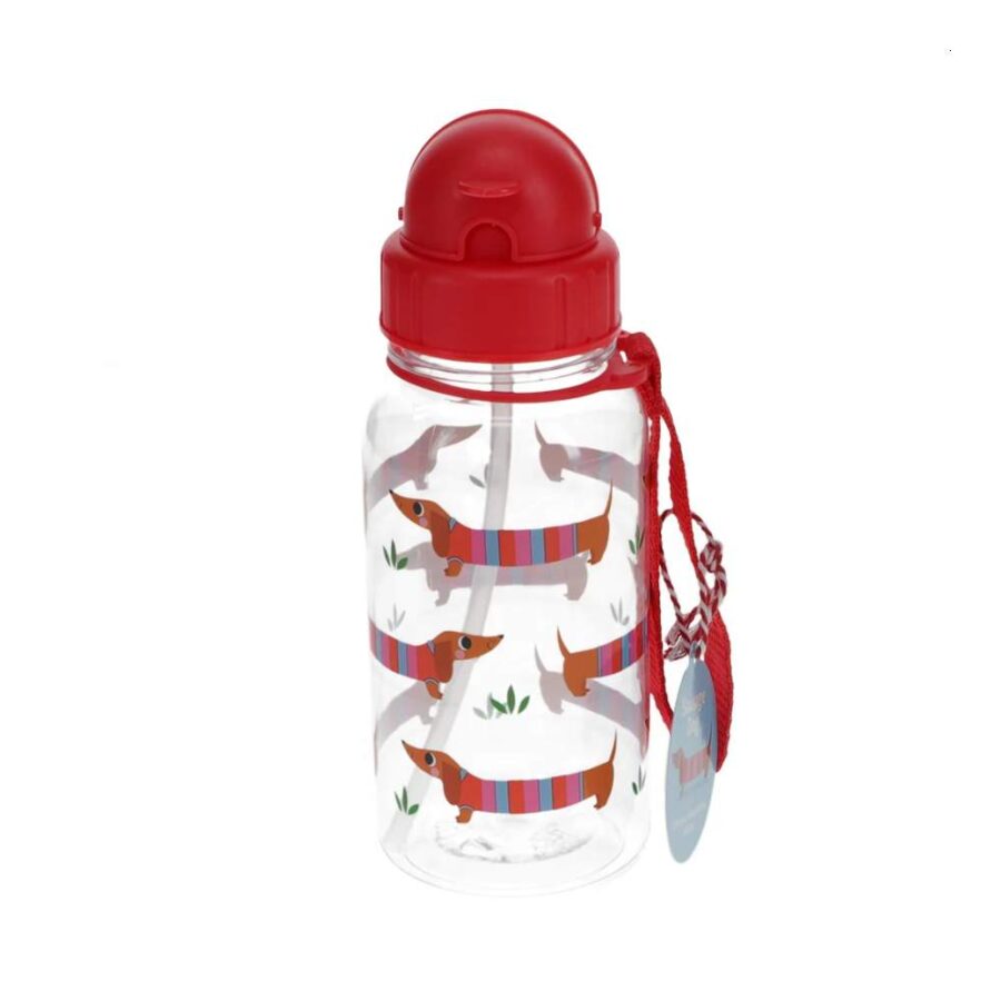 Botella 500ml Perro Salchicha