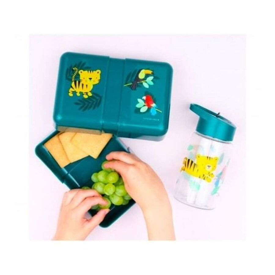 Caja Almuerzo Jungla