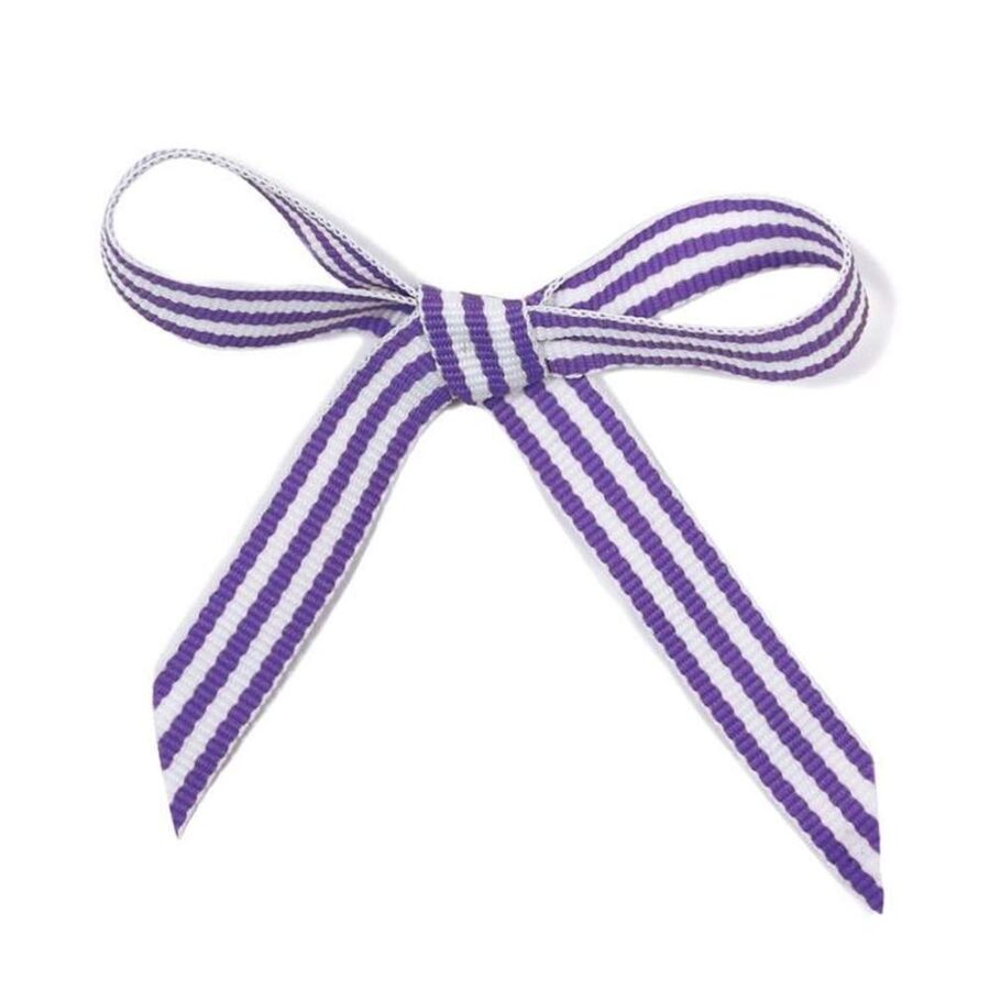Cinta Rayas Violeta