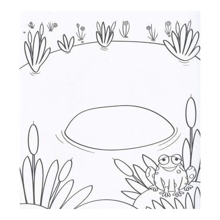 Colorea Y Aprende A Dibujar Animales