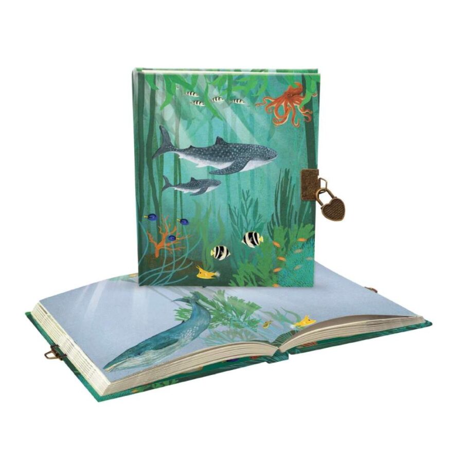 Diario Whale Song 2
