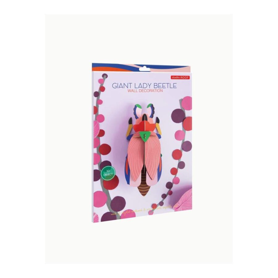 Escarabajo Gigante Lady - Tamaño L
