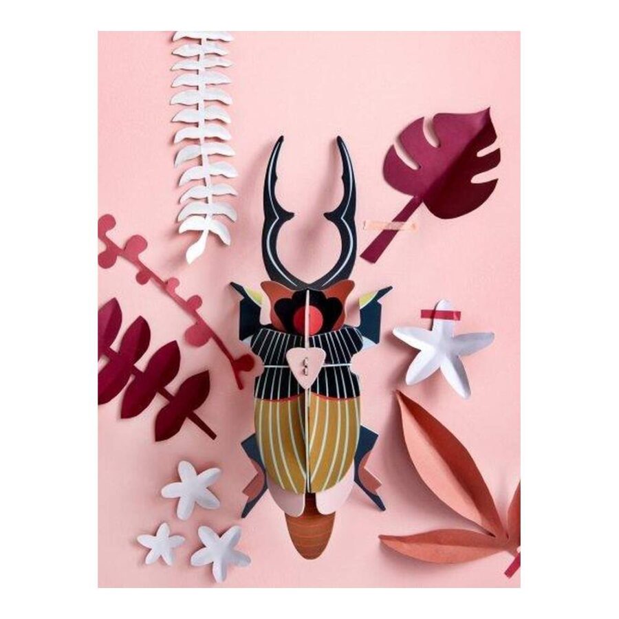 Escarabajo Gigante Stag - Tamaño L