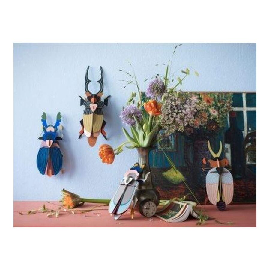 Escarabajo Gigante Stag - Tamaño L