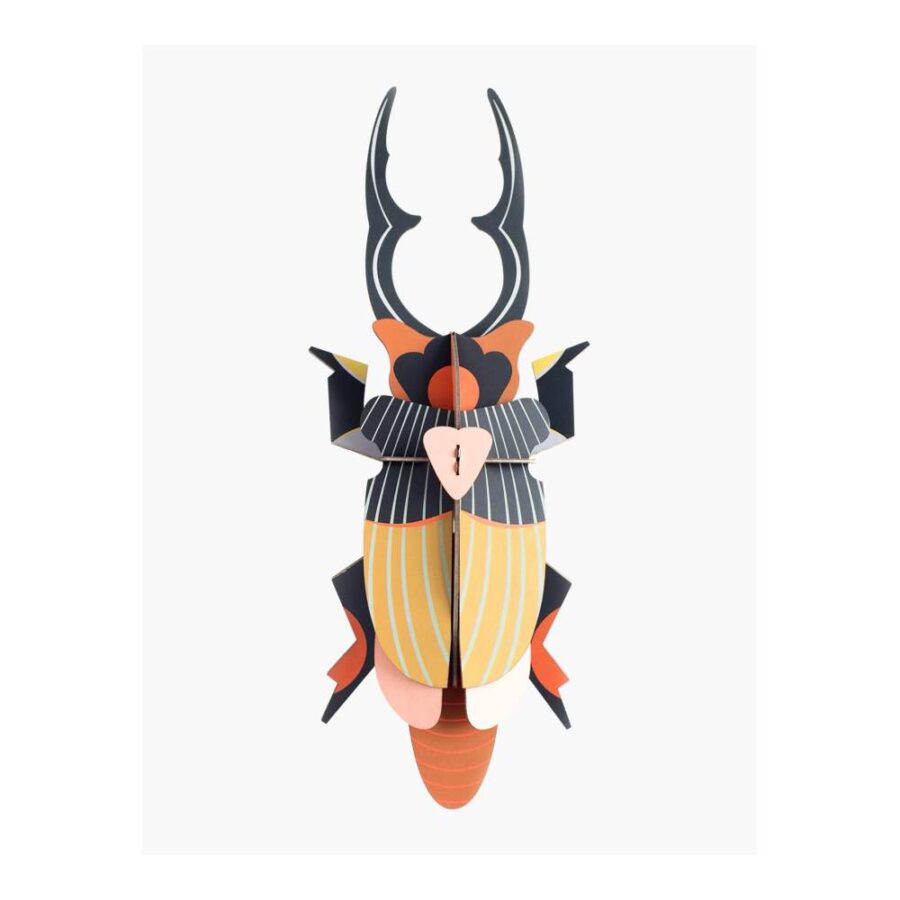 Escarabajo Gigante Stag - Tamaño L