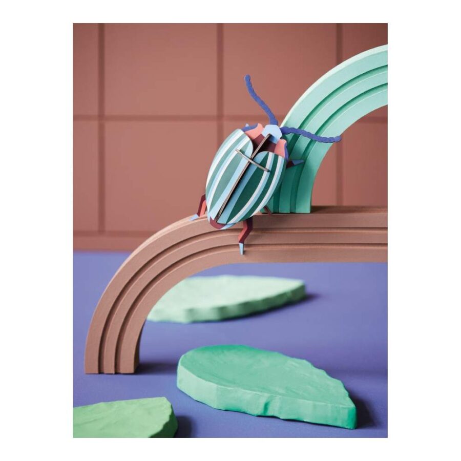 Escarabajo Hoja Arco Iris - Tamaño S