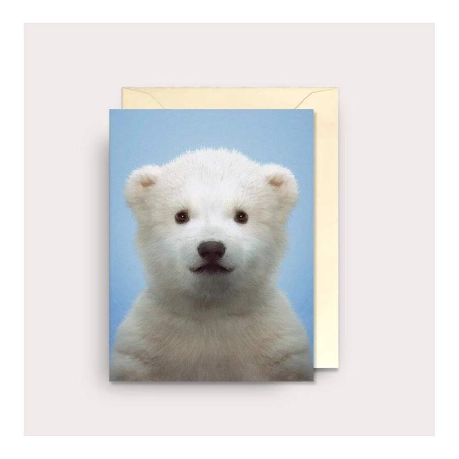 Felicitación Zoo Portraits Polar Bear