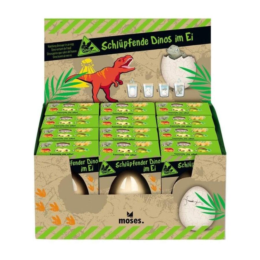 Huevo De Dinosaurio