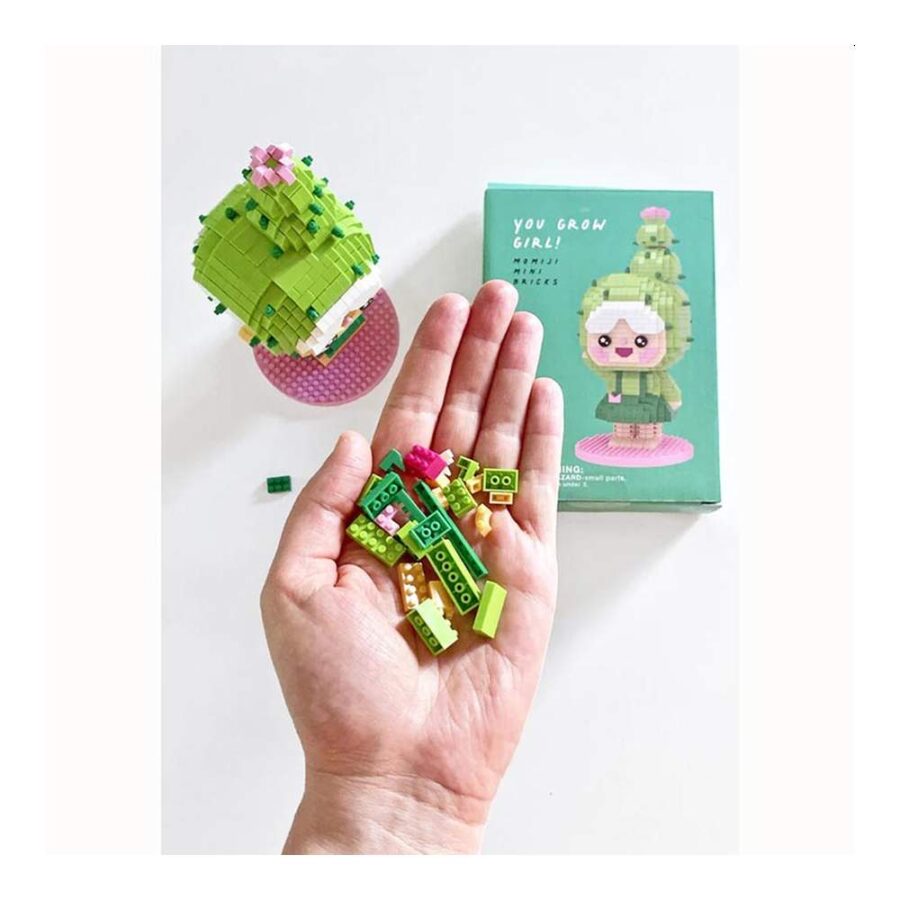 Mini Bricks - You Grow Girl (897 Pcs)