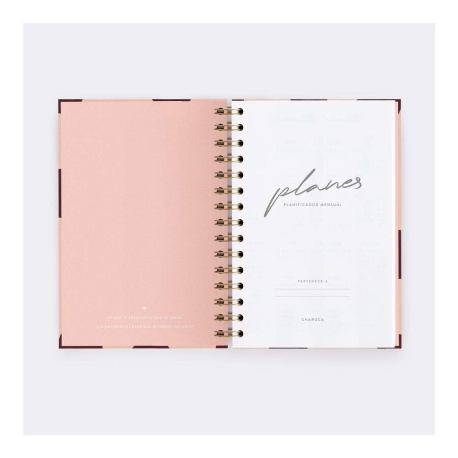 Planes Planificador Mensual Pink & Cherry