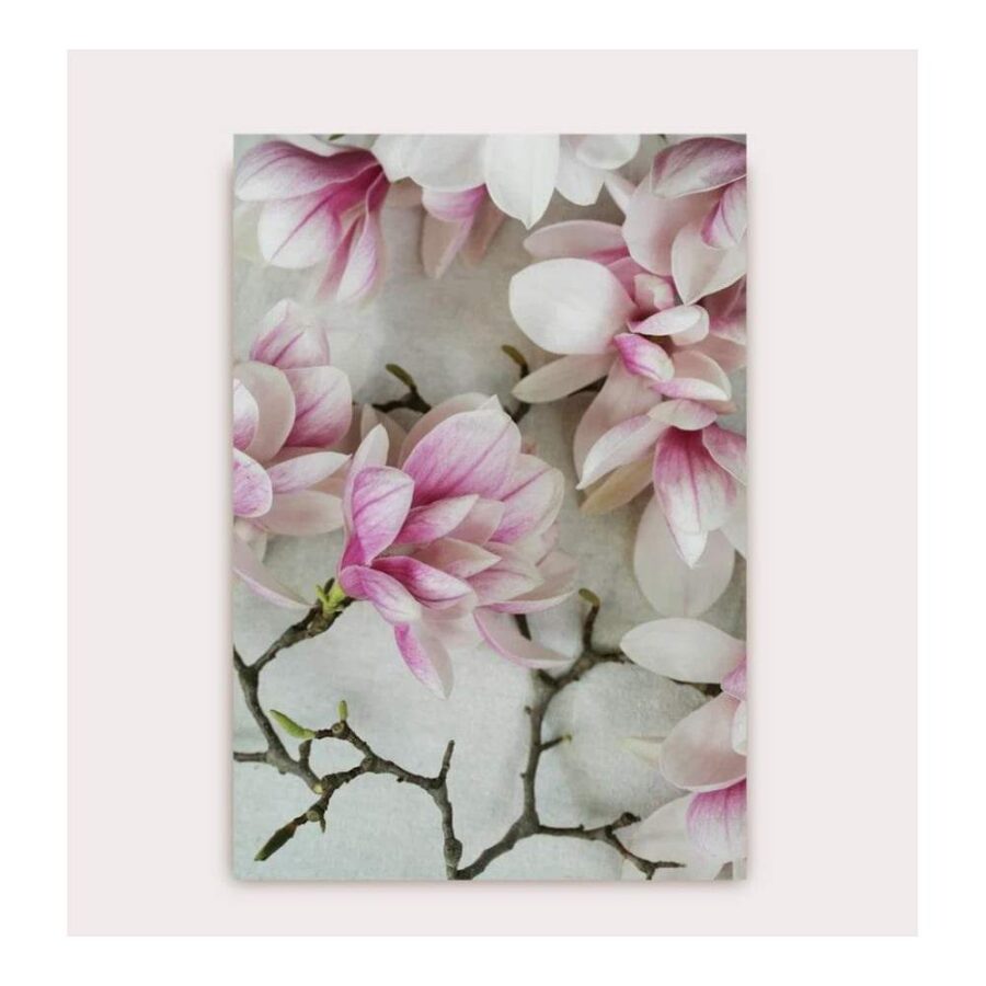Postal Alicia Bock Magnolia Flower