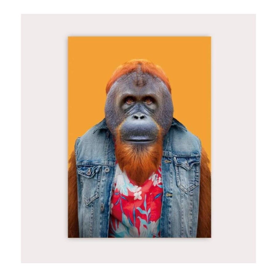 Postal Bornean Orangutan