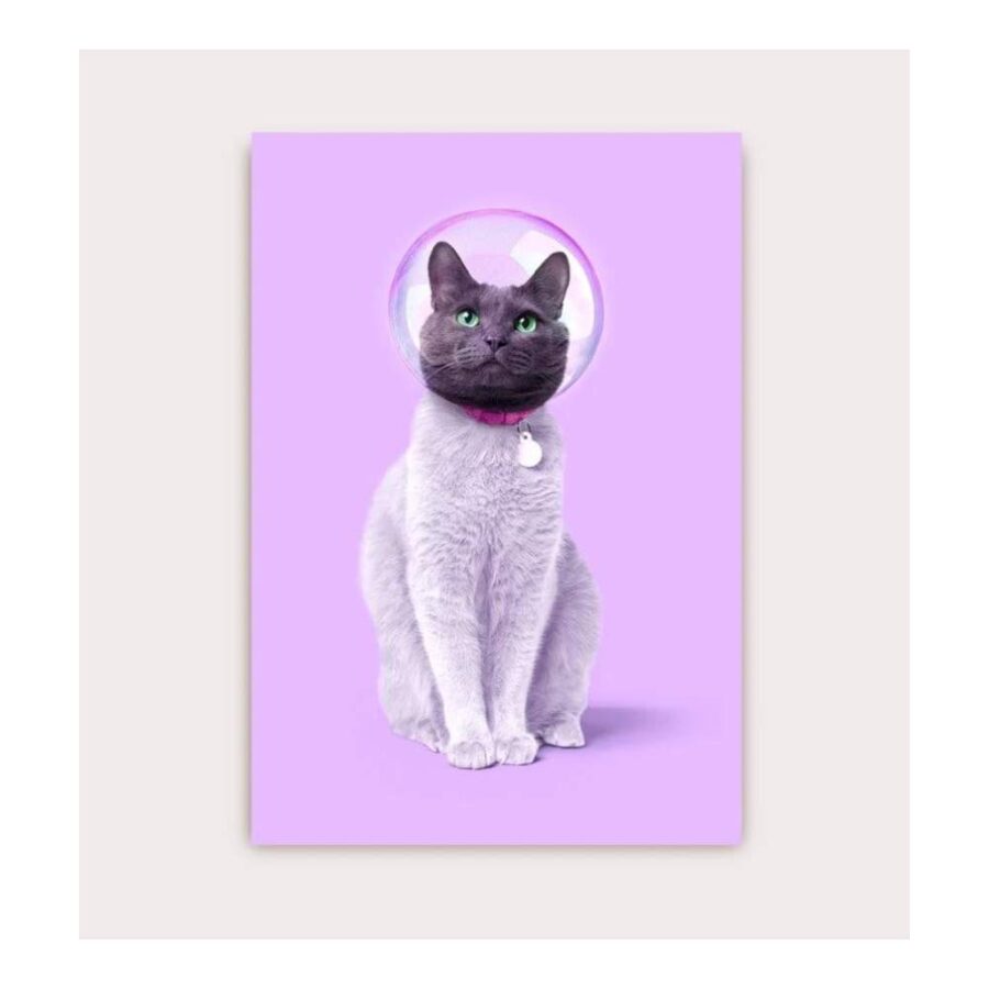 Postal Space Cat