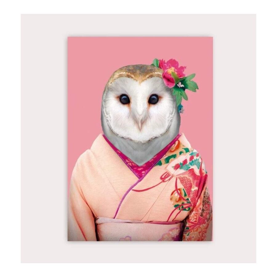 Postal Zoo Portrait Barn Owl
