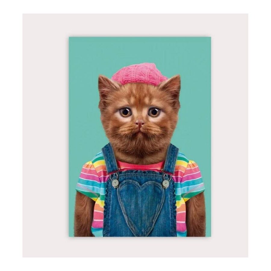 Postal Zoo Portrait British Short Hari Cat