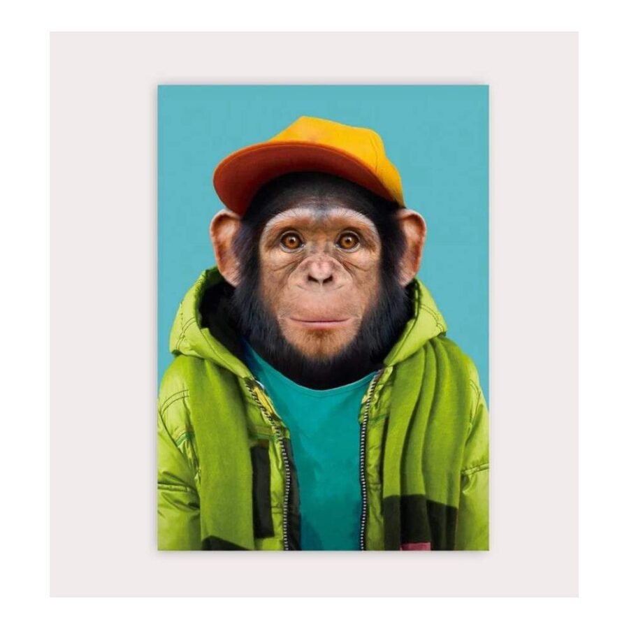 Postal Zoo Portrait Common Chimpanzee
