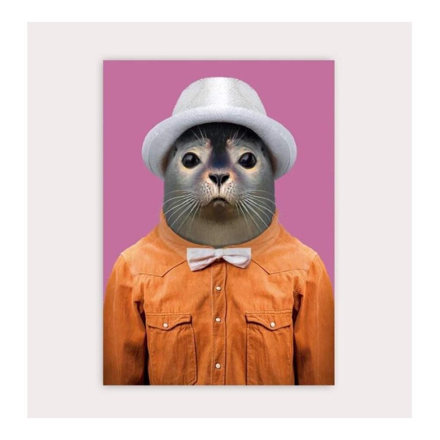 Postal Zoo Portrait Harbor Seal