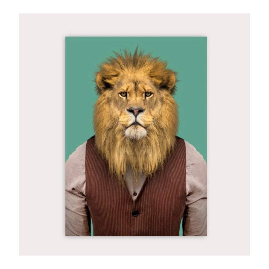 Postal Zoo Portrait Lion