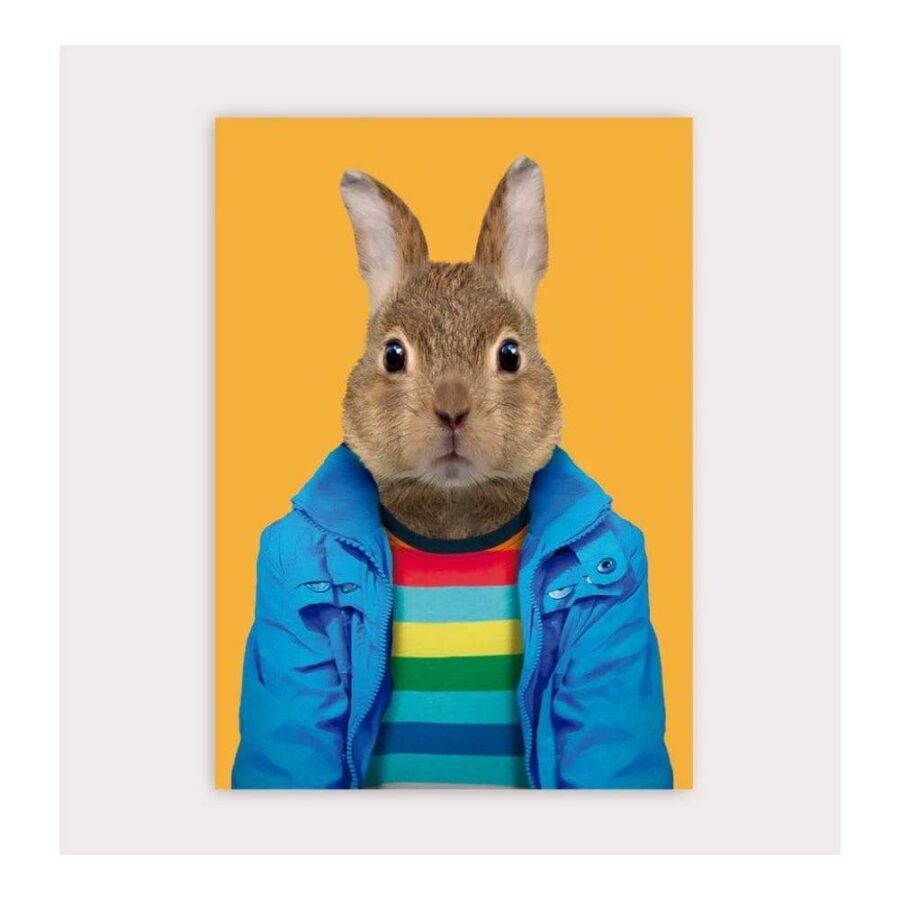 Postal Zoo Portraits European Rabbit