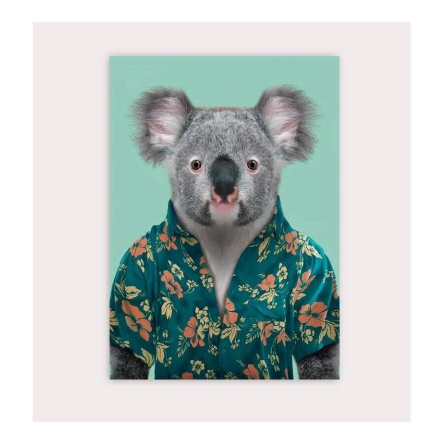 Postal Zoo Portraits Koala