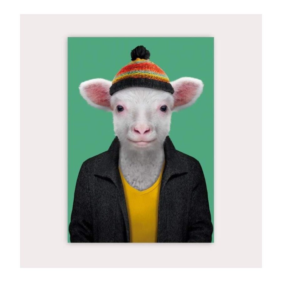 Postal Zoo Portraits Sheep