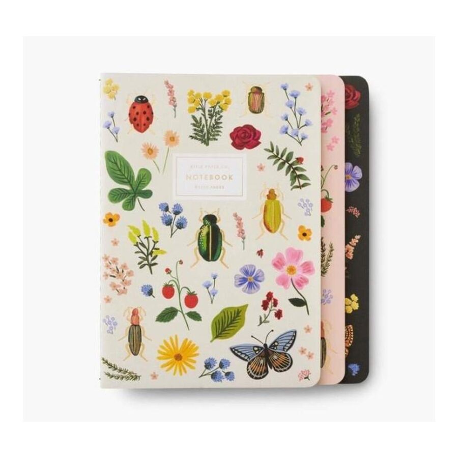 Set 3 Cuadernos Curio