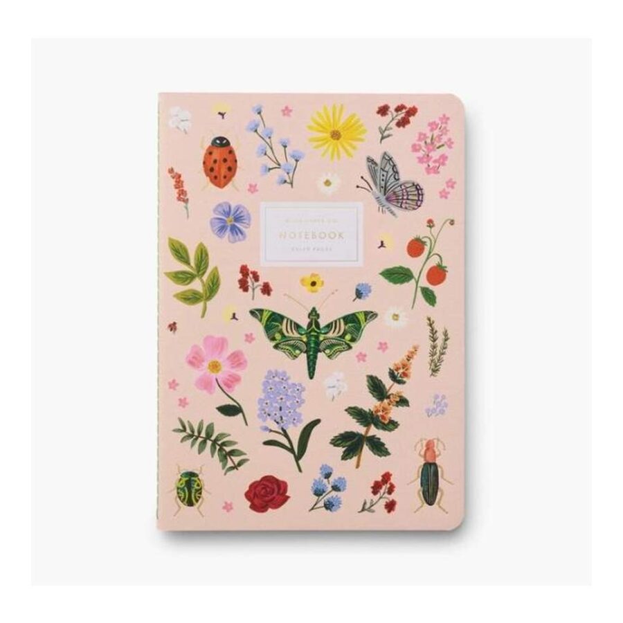 Set 3 Cuadernos Curio