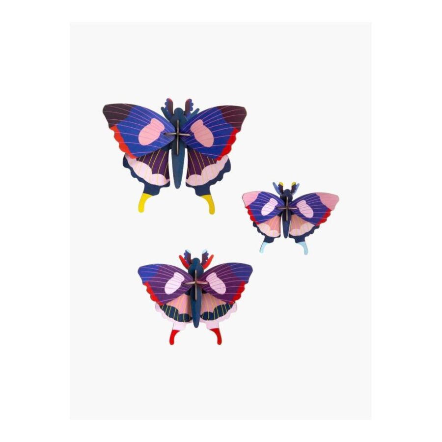 Set Mariposa Cola De Golondrina - Tamaño L
