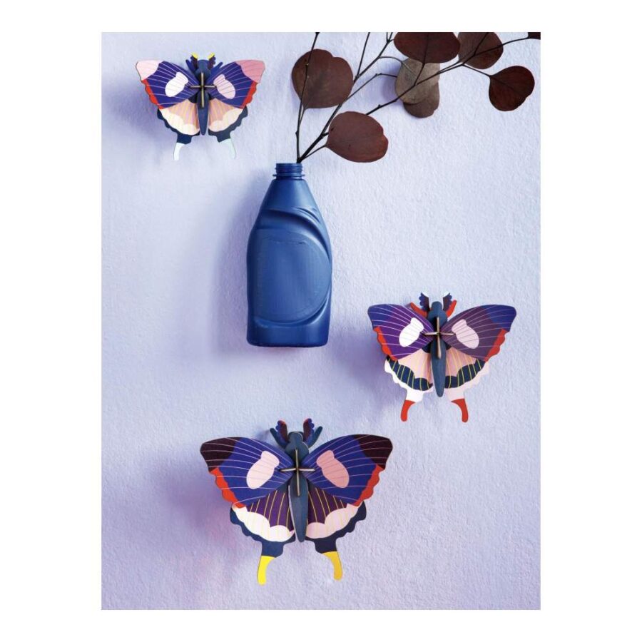 Set Mariposa Cola De Golondrina - Tamaño L