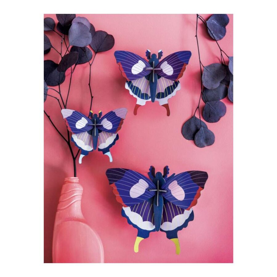 Set Mariposa Cola De Golondrina - Tamaño L