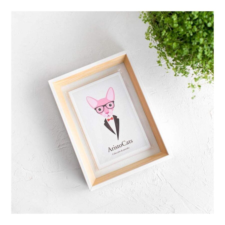 Set Postales Aristocats