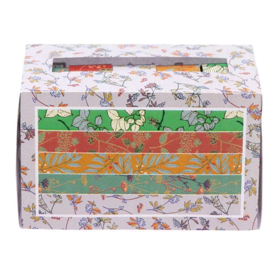 Set 5 Washi Tapes Funny Fall