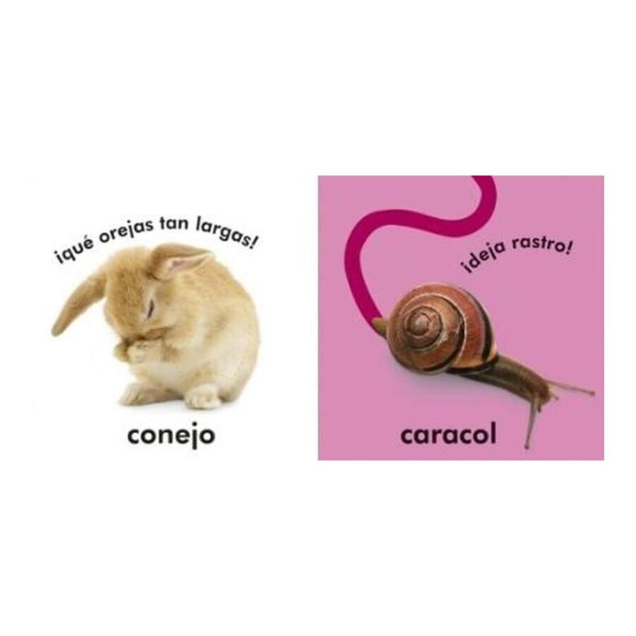 Toca Y Aprende Animales