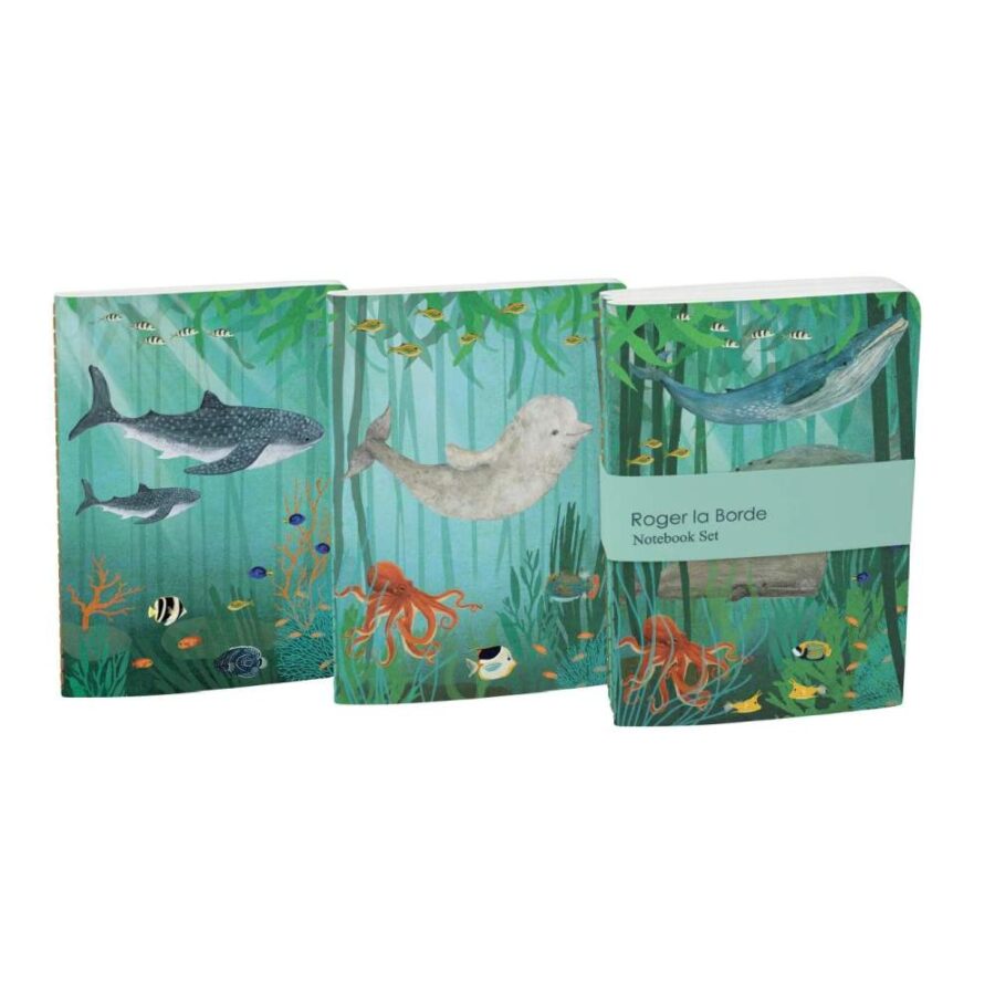 Trio De Cuadernos A6 Ex Whale Song