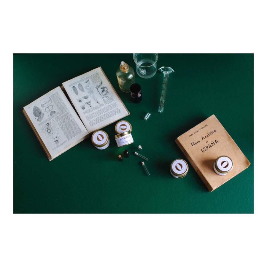 Vela Evergreen 80 Gr