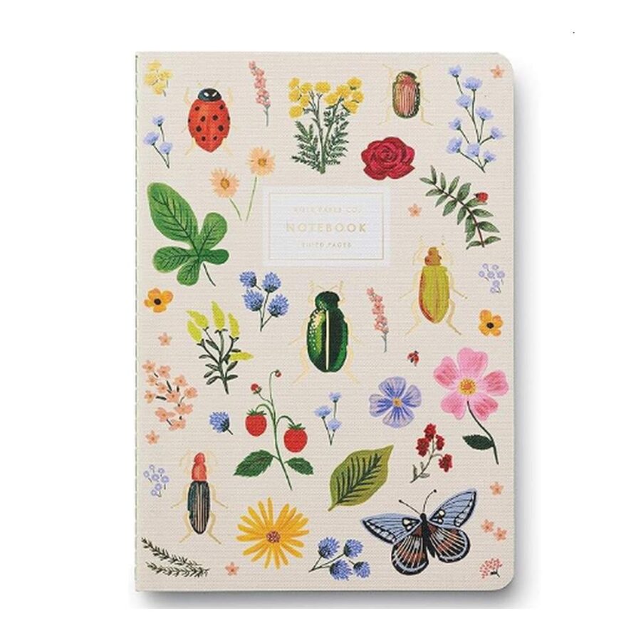 Set 3 Cuadernos Curio