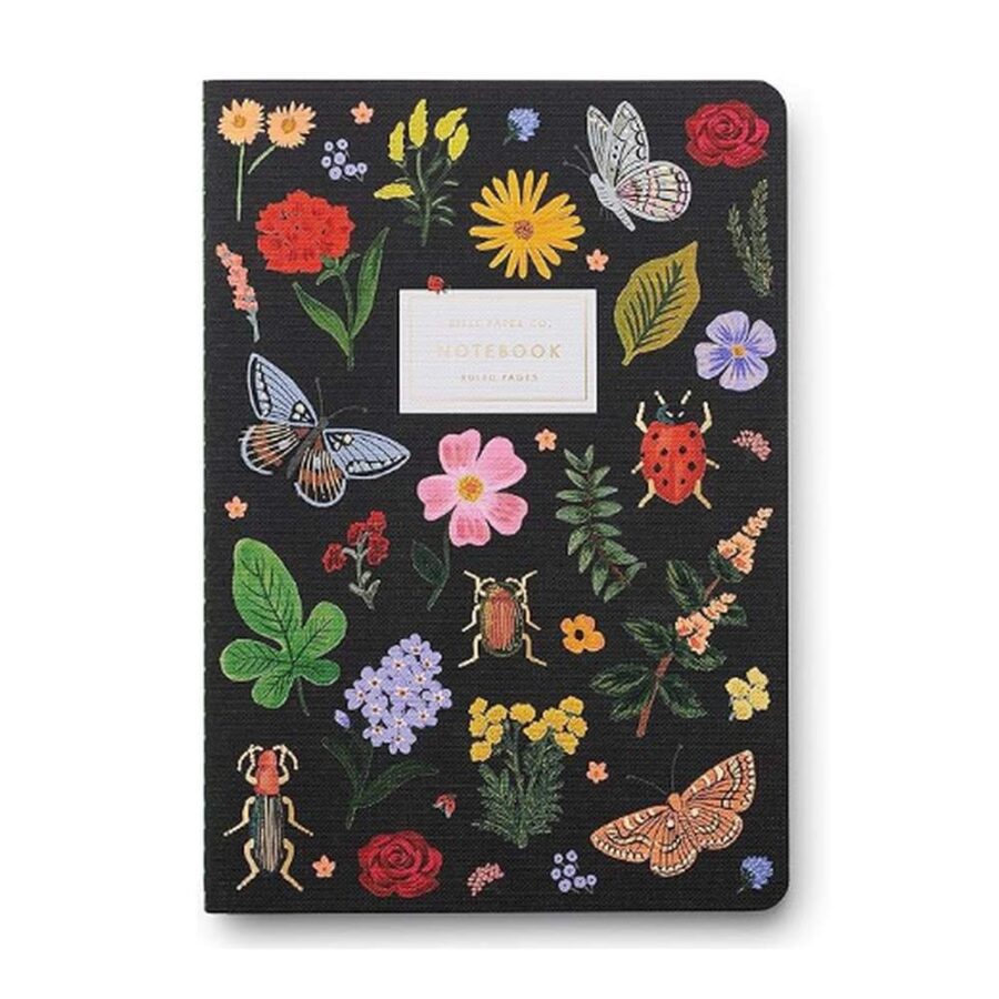 Set 3 Cuadernos Curio