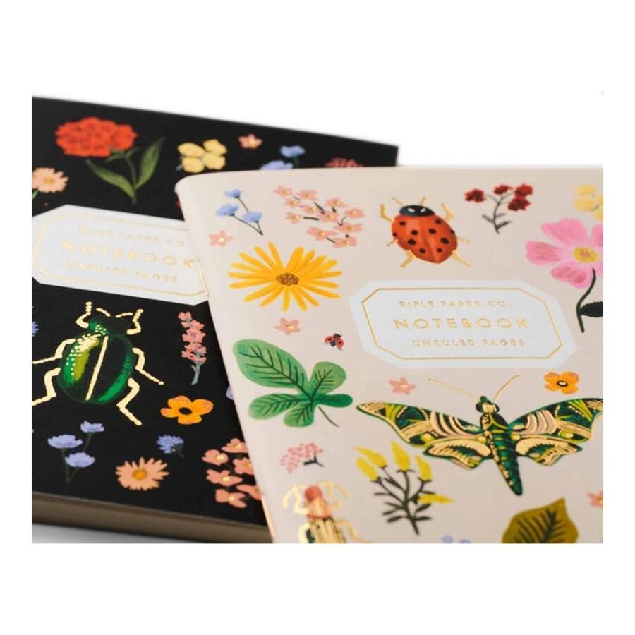 Set De 2 Libretas De Bolsillo Curio