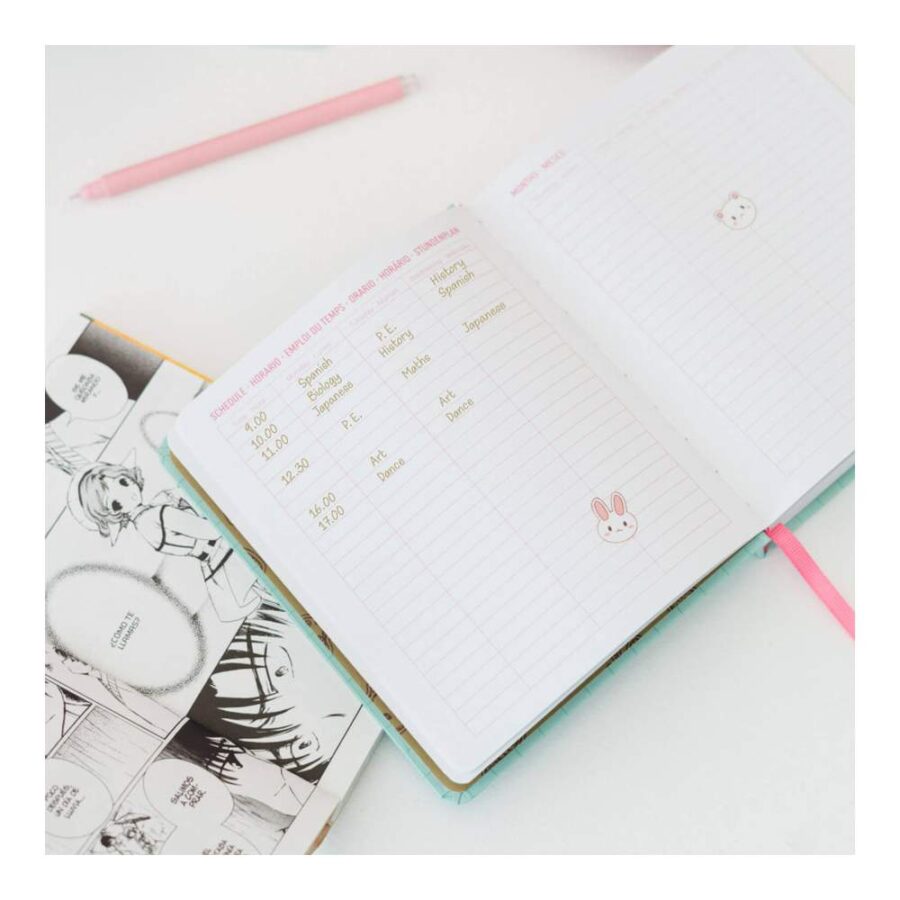 Agenda Escolar 2025/2026 11 Meses Kawaii