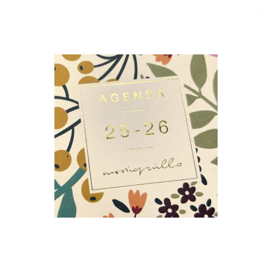Agenda Escolar Moniquilla E10 Dp